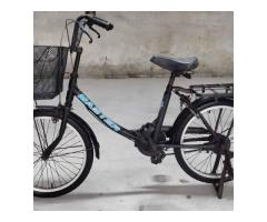 20寸淑女腳踏車 - 1/1