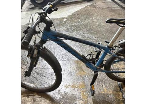 捷安特變速腳踏車 

沒有在騎小孩長大了