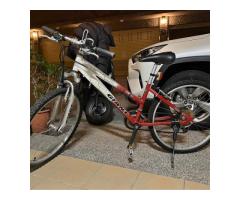 捷安特腳踏車 - 1/1