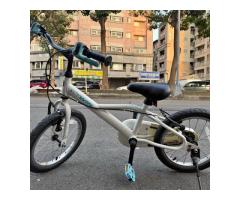 16吋迪卡儂兒童腳踏車 功能正常 台中市面交（外縣市可寄）