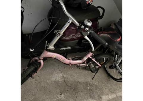 二手捷安特腳踏車