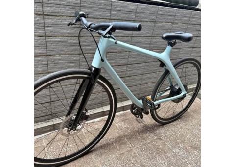 Gogoro Eeyo腳踏車 藍