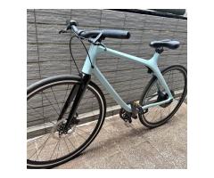 Gogoro Eeyo腳踏車 藍