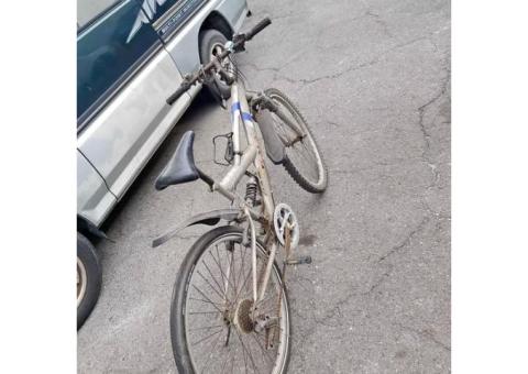 腳踏車一輛1500含運