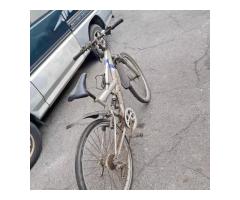 腳踏車一輛1500含運 - 1/1