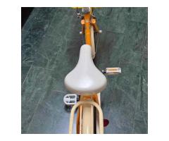 16吋兒童腳踏車 - 1/1