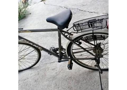 捷安特 GIANT City700 通勤休閒腳踏車 二手腳踏車 鋁合金車身 附置物籃