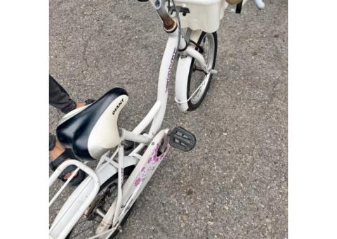 捷安特兒童腳踏車