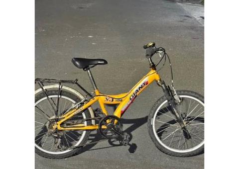 捷安特YJ256 腳踏車 20寸變速 腳踏車 功能正常 嘉南藥理大學附近的湖內區自取1300元