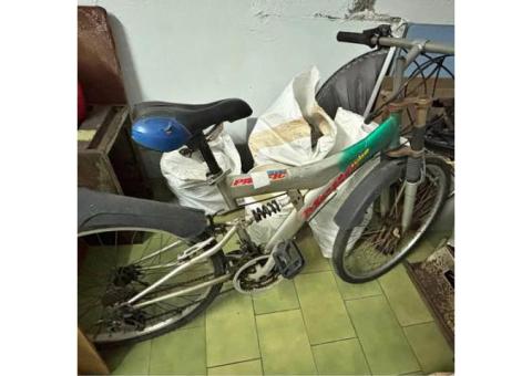 代步用腳踏車、兒童腳踏車