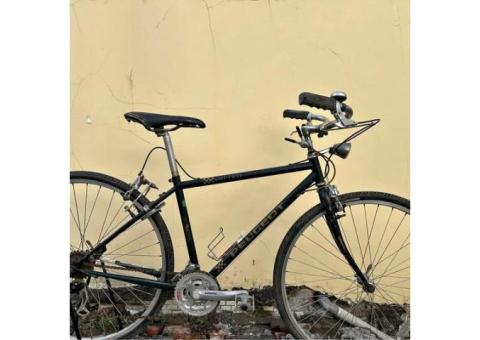 PEUGEOT 旅行車 寶獅腳踏車