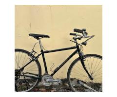 PEUGEOT 旅行車 寶獅腳踏車 - 1/1