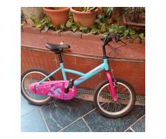 二手 迪卡農 16吋兒童腳踏車 (前後輪需維修或更換) - 1/1