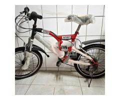 全新腳踏車 - 1/1