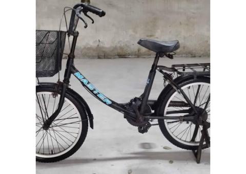 20寸淑女腳踏車