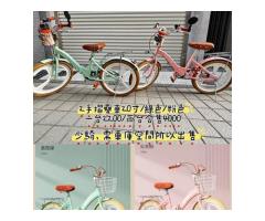 2手兒童、中大童20寸折疊腳踏車 - 1/1