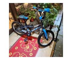 捷安特腳踏車16吋使用痕跡 - 1/1