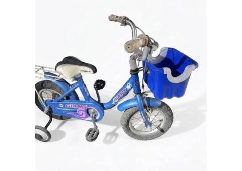 捷安特兒童腳踏車