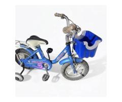 捷安特兒童腳踏車 - 1/1