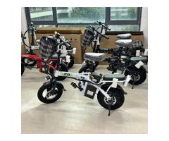 電動腳踏車 - 1/1