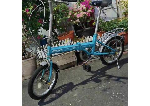 知名品牌捷安特16吋二手腳踏車