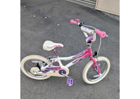 Giant 捷安特 Adore  16吋 兒童 女童 公主專用 腳踏車 kj182