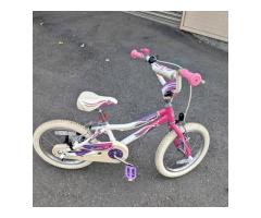 Giant 捷安特 Adore  16吋 兒童 女童 公主專用 腳踏車 kj182