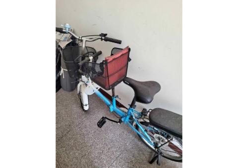 親子折疊腳踏車