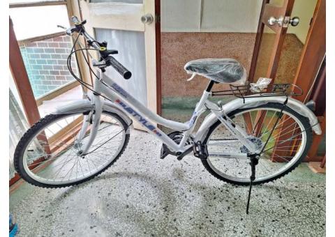 全新 變速腳踏車自行車