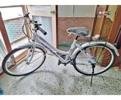 全新 變速腳踏車自行車 - 1/1