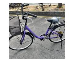 紫黑26吋6段低跨變速腳踏車（通勤、代步、上下課、上下學、上下班、運動、巡田）