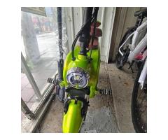 寵物電動腳踏車