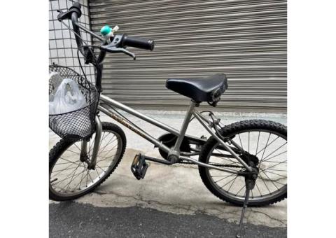腳踏車 20吋
