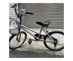 腳踏車 20吋