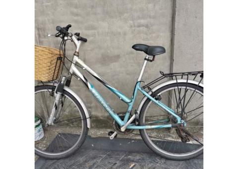 捷安特26吋通勤車