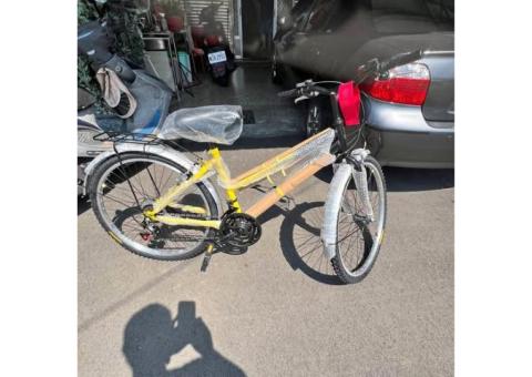 全新26寸，18段變速腳踏車