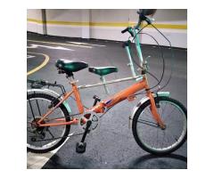 母子腳踏車 - 1/1