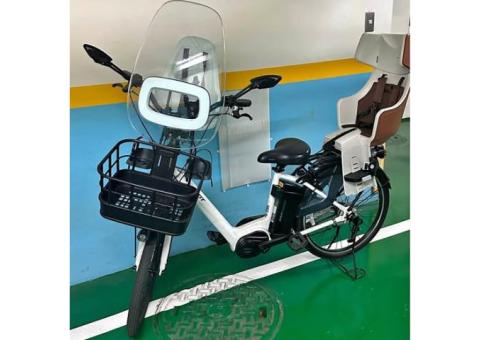 捷安特電動腳踏車 狀況好 附兩個安全椅