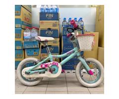 GIANT捷安特 12吋．兒童腳踏車