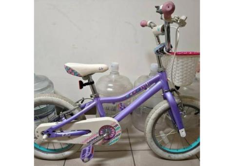 Giant 捷安特Liv adore 16吋，8.5成新， 16吋單速（充氣胎）腳踏車