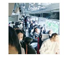 QiCYCLE EF1電動腳踏車 - 1/1