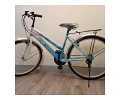 全新腳踏車 包裝塑膠袋未拆