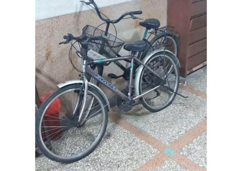 腳踏車剩靠牆壁的，1000含運