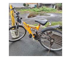 便宜避震腳踏車 - 1/1