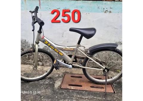 腳踏車，折疊車