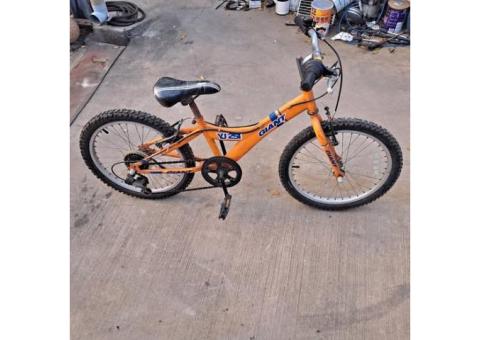 售2手 20吋捷安特YJ251腳踏車