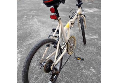 腳踏車（以售出）