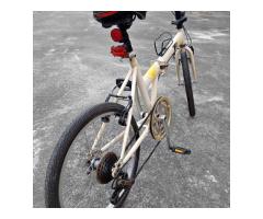 腳踏車（以售出） - 1/1