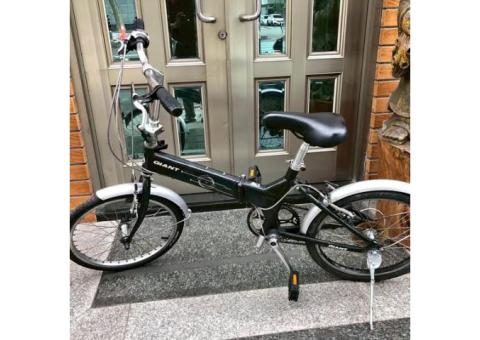 20吋Giant FD806鋁合金折疊變速腳踏車 功能正常 台中市面交（外縣市可寄）
