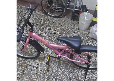 捷安特小孩全新腳踏車